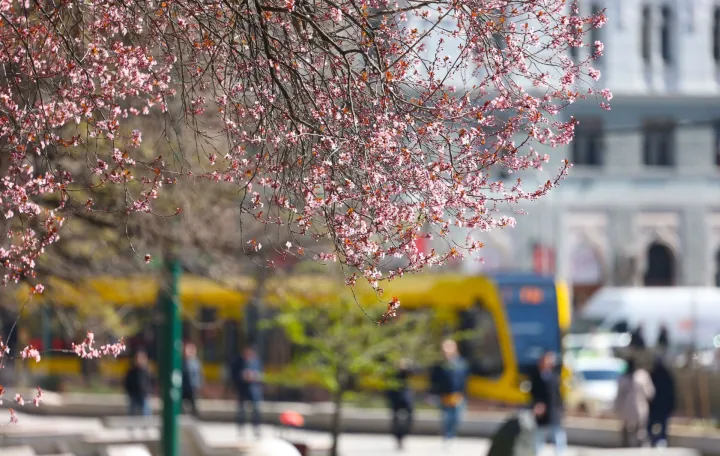 Stiglo je proljeće, budi se priroda/Hazim Aljović