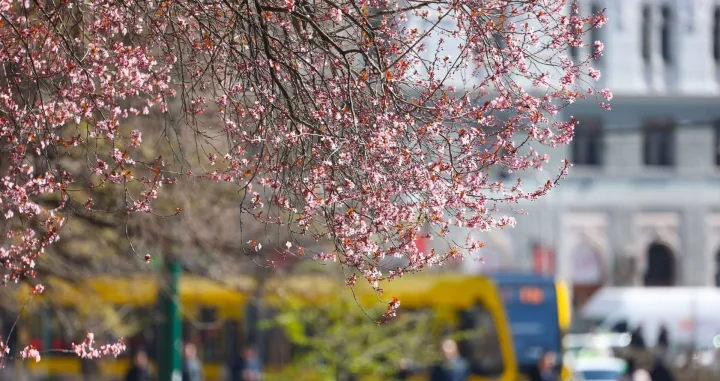 Stiglo je proljeće, budi se priroda/Hazim Aljović