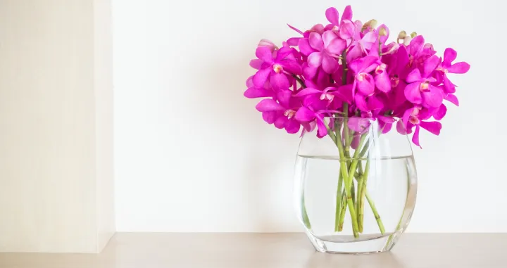 Ovo sve rje&scaron;ava/Free Pik