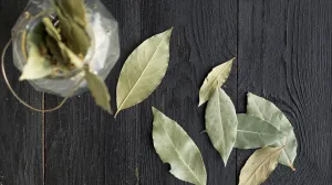 Ovo sve mijenja/Free Pik