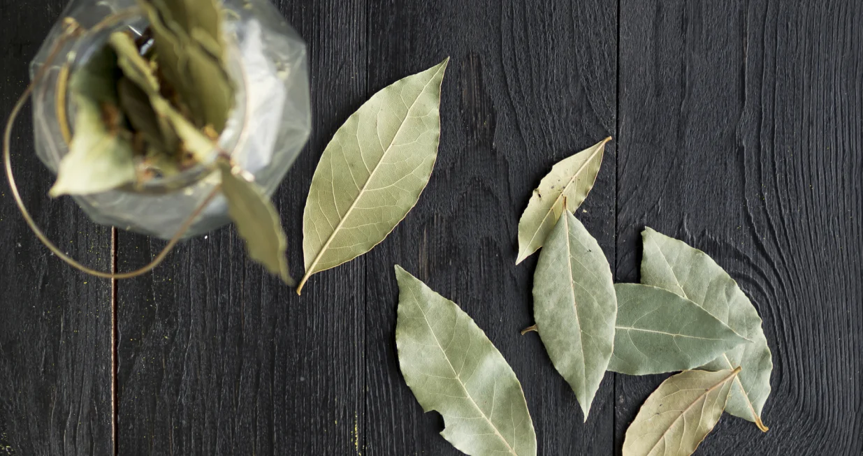 Ovo sve mijenja/Free Pik