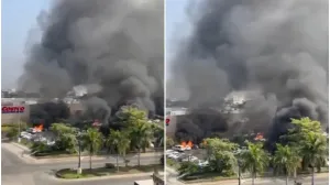 Prizori iz Meksika/Printscreen/X.com//