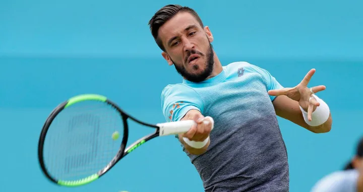 Damir Džumhur (FOTO: X)/Foto: 