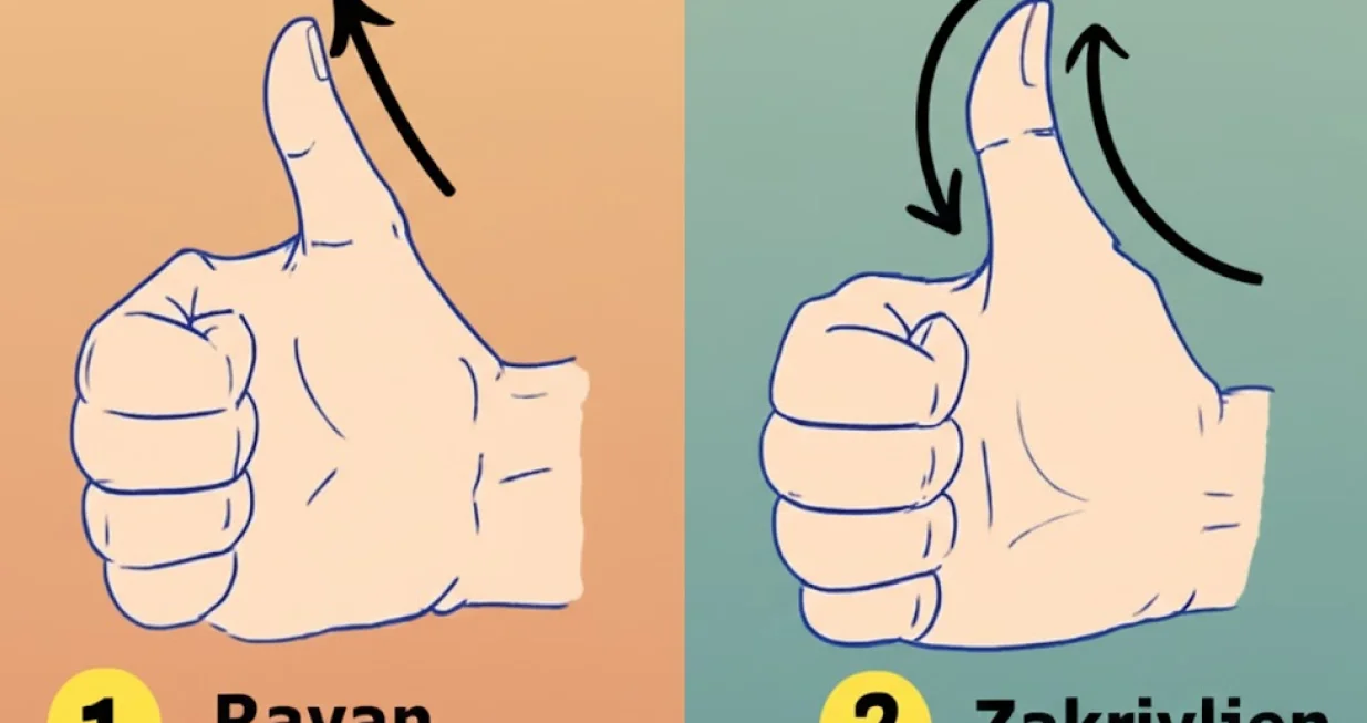 Krije zanimljivo značenje/Ilustracija