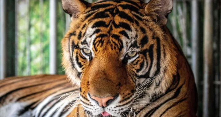 Foto: Screenshot X/Screenshot X