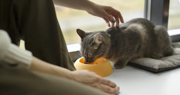 Nemojte riskirati/Free Pik