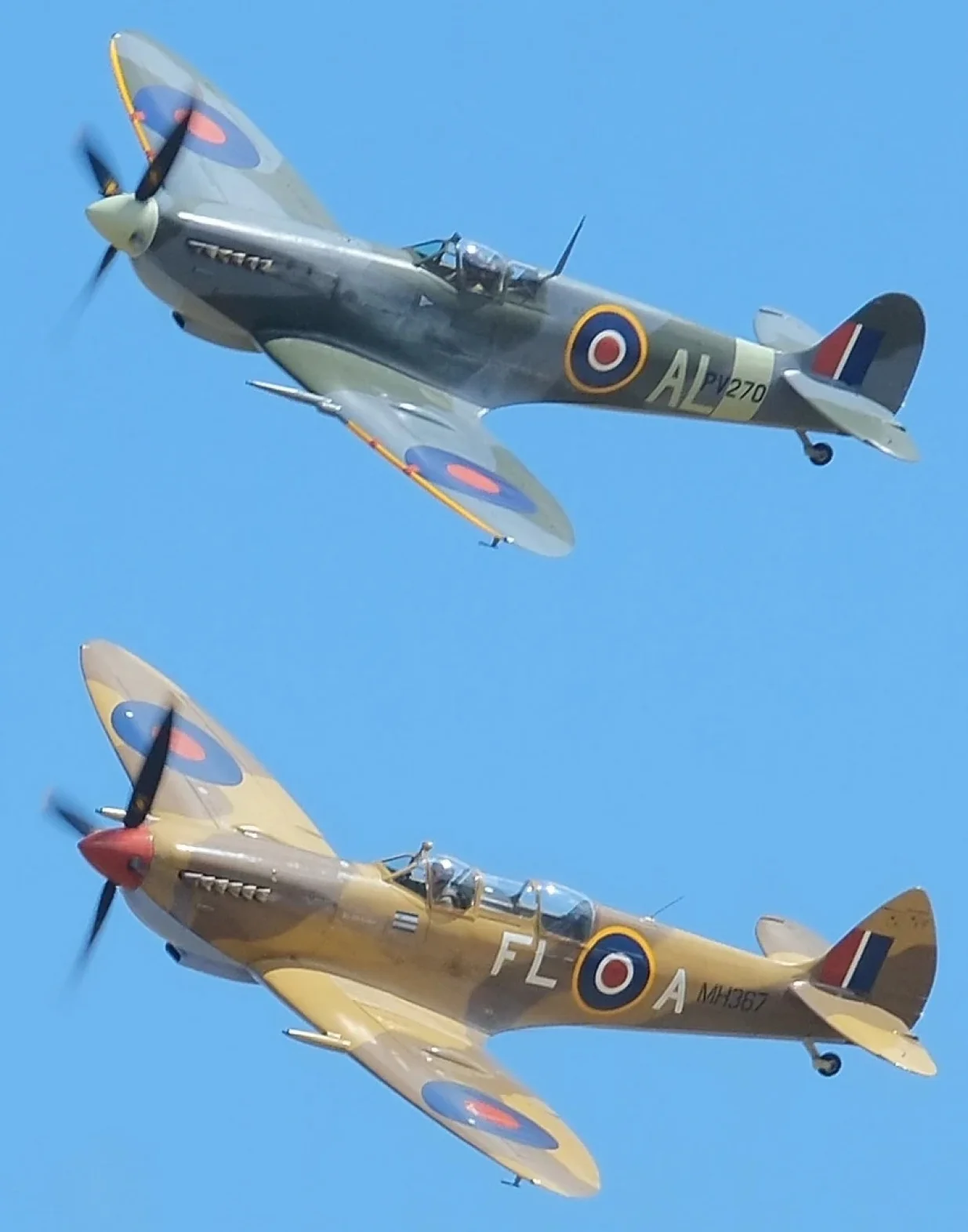 Two Supermarine Spitfire Mk IXs flying side-by-side (lead aircraft painted as Wing Commander Colin Grey's airplane from No 81 Squadron at Tunisia in 1943)/Raf