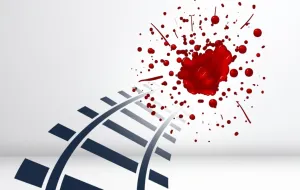 Edvin Kanka Ćudić: Vlak smrti/Benjamin Krnić