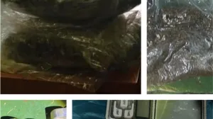 Oduzeta droga i euri/MUP TK/