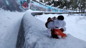 Vučko nas je ispratio sa Trebevića/Oslobođenje