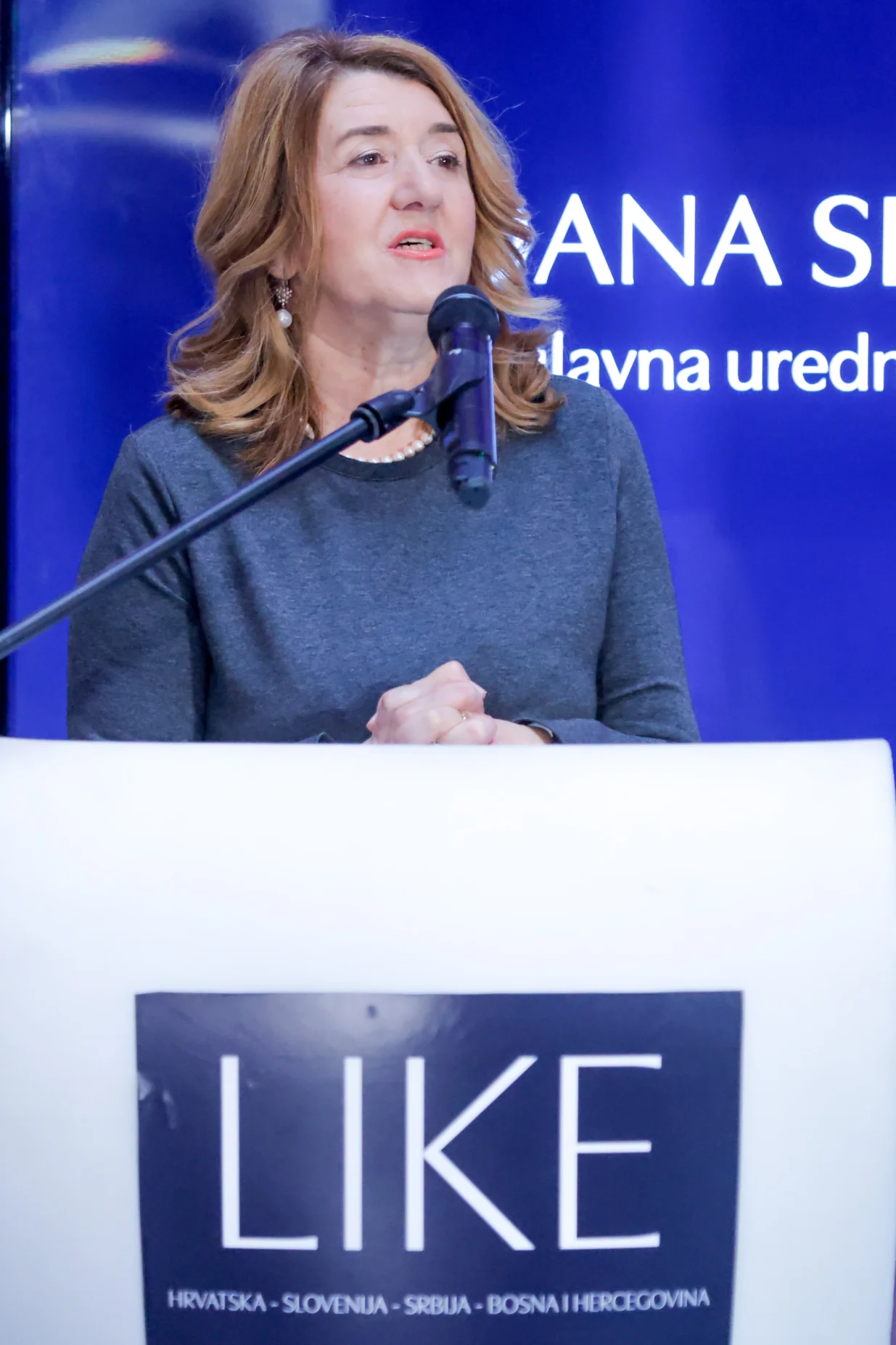 Promocija vodica LIKE 2026/Damir Deljo