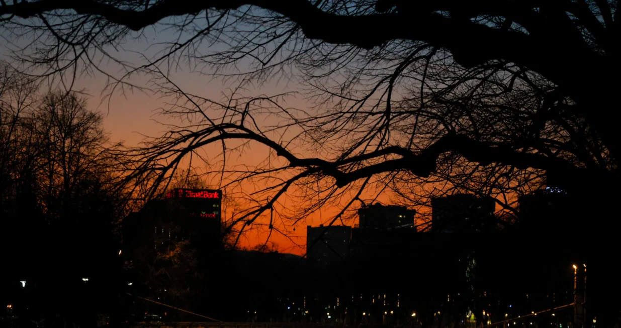 Sumrak u Sarajevu/Damir Deljo