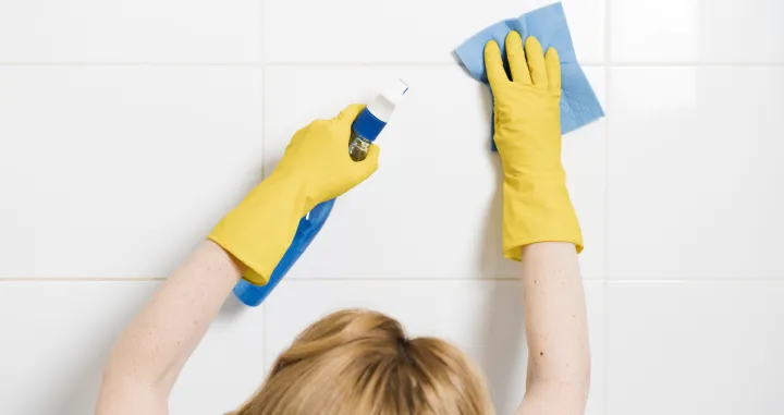 Brisanje plijesni nikad nije bilo lak&scaron;e/Free Pik