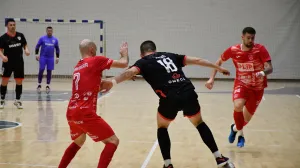 Borac vs Bubamara - 25.02.2026. (FOTO: Vladimir Šutvić - Borac Sport)/Foto: 