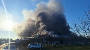 Požar u fabrici namještaja na području Brčkog/Dragan Đukić