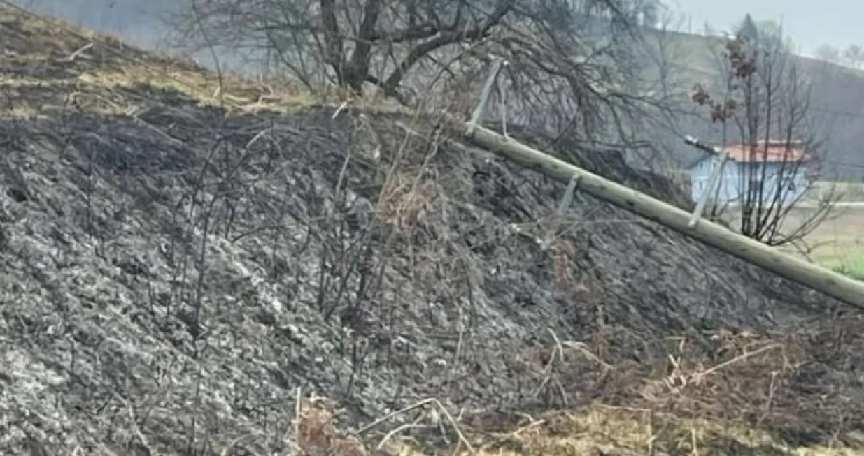 Sru&scaron;io se stub/Fena//