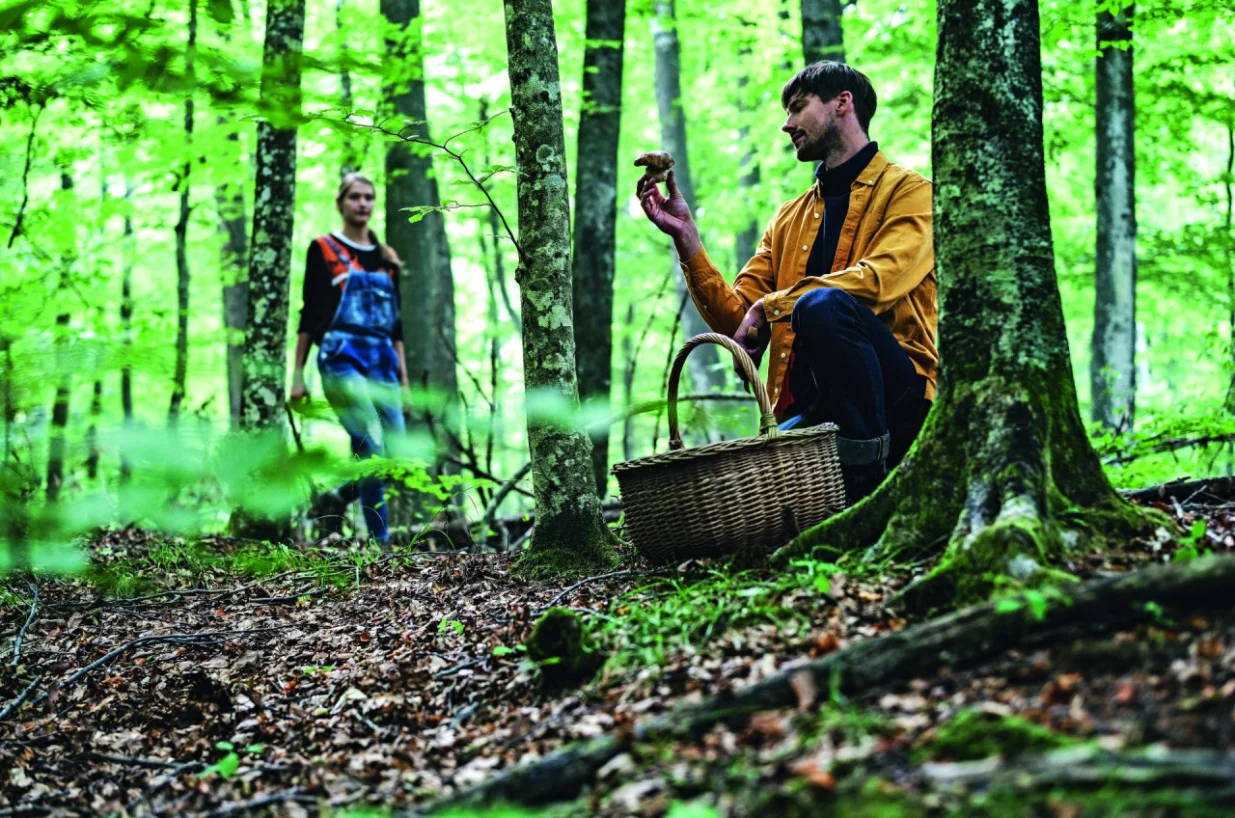Inovativni chefovi i vrhunski restorani odu&scaron;evljavaju kuhinjom koja se temelji na lokalnim sastojcima i osobnoj interpretaciji tradicionalnih recepata/Suzan Gabrijan