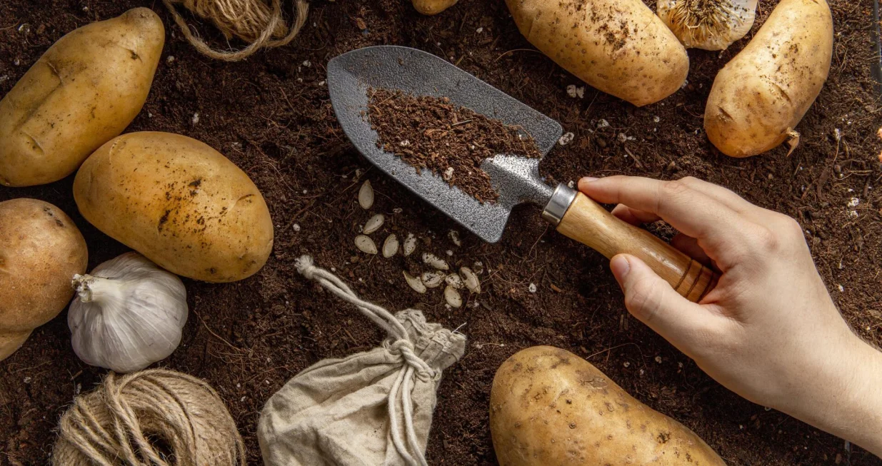 Ne pravite ovu gre&scaron;ku/Free Pik