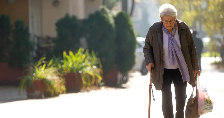 Topao novembarski dan/Damir Deljo