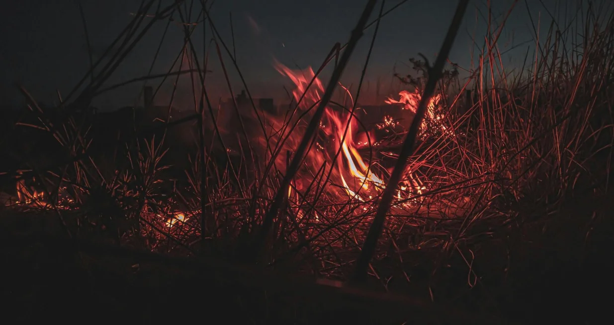 Ilustracija/ Pexels/