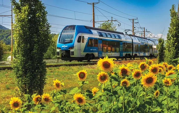 Polja suncokreta nikla su duž železničkih pruga tokom letaFoto: Mi&scaron;ko Kranjec/Slovenske železnice/Promo/