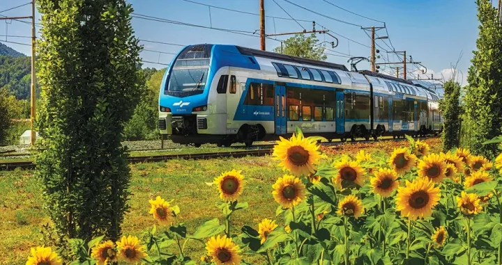 Polja suncokreta nikla su duž železničkih pruga tokom letaFoto: Mi&scaron;ko Kranjec/Slovenske železnice/Promo/