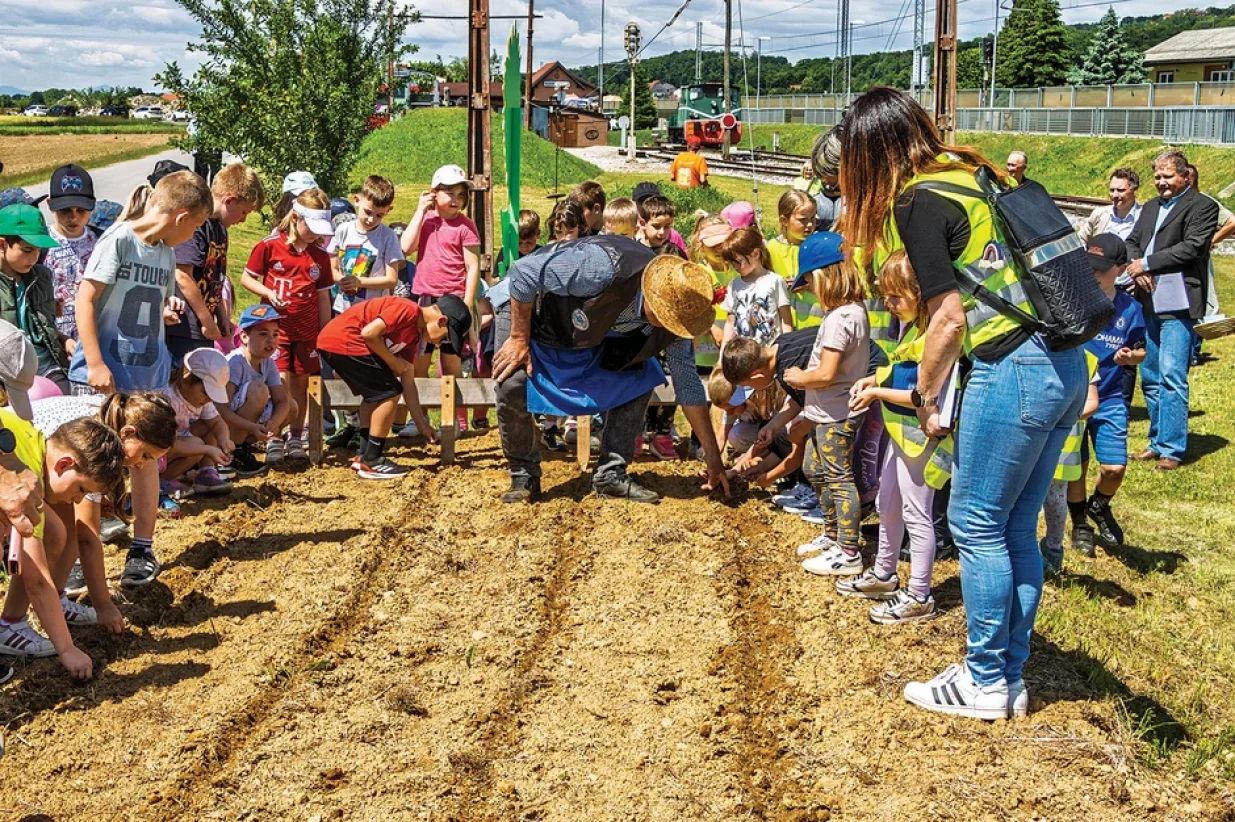 Vrtići, &scaron;kole i lokalne zajednice učestvovali su u sadnjiFoto: Mi&scaron;ko Kranjec/Slovenske železnice/Promo/