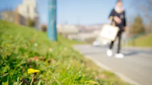 Dolazak proljeca/Damir Deljo