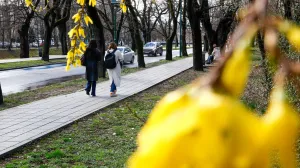 Vedro poslije kiše mart 2025/Damir Deljo