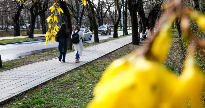 Vedro poslije ki&scaron;e mart 2025/Damir Deljo