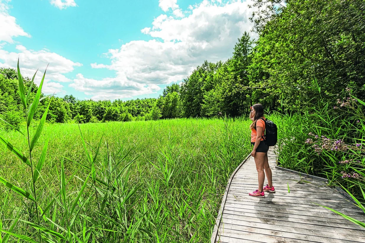 Krajinski park Lahinja/Jan Kocjan