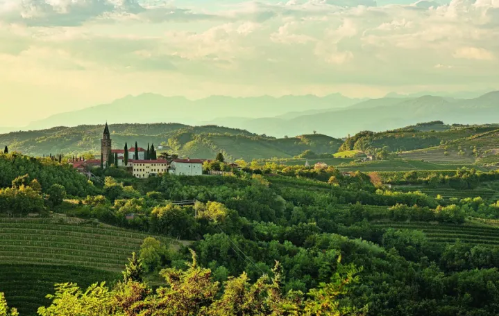 Brda su odlična destinacija za sve one koji traže sklad između prirode, kulture, kuhinje i aktivnih avantura/Promo