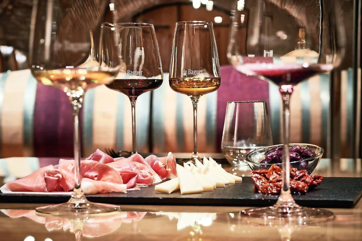 Prosciutto & WineBrda su dragocjeno blago slovenskog kulinarstva/Promo