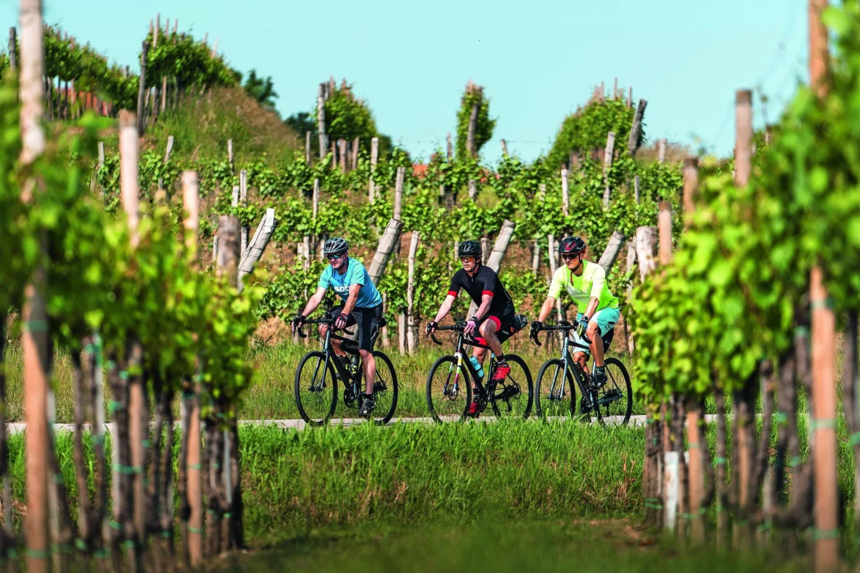 Mreža biciklističkih i pje&scaron;ačkih staza nudi bezbroj mogućnosti za istraživanje Brda/Ziga Koren