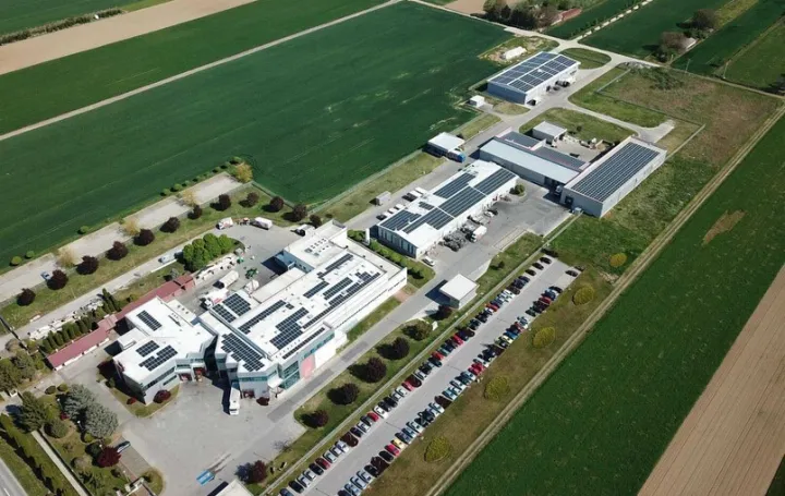 Žito grupa/Žito Grupa 