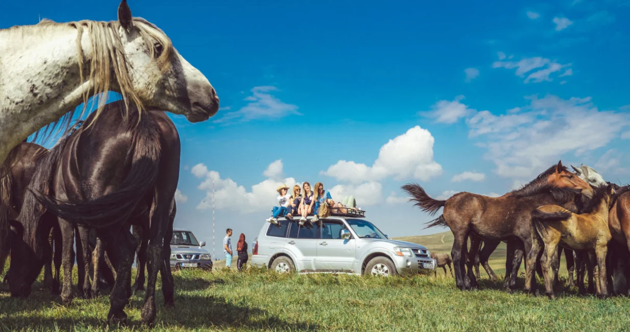 Livanjski konji/Krajina tour/