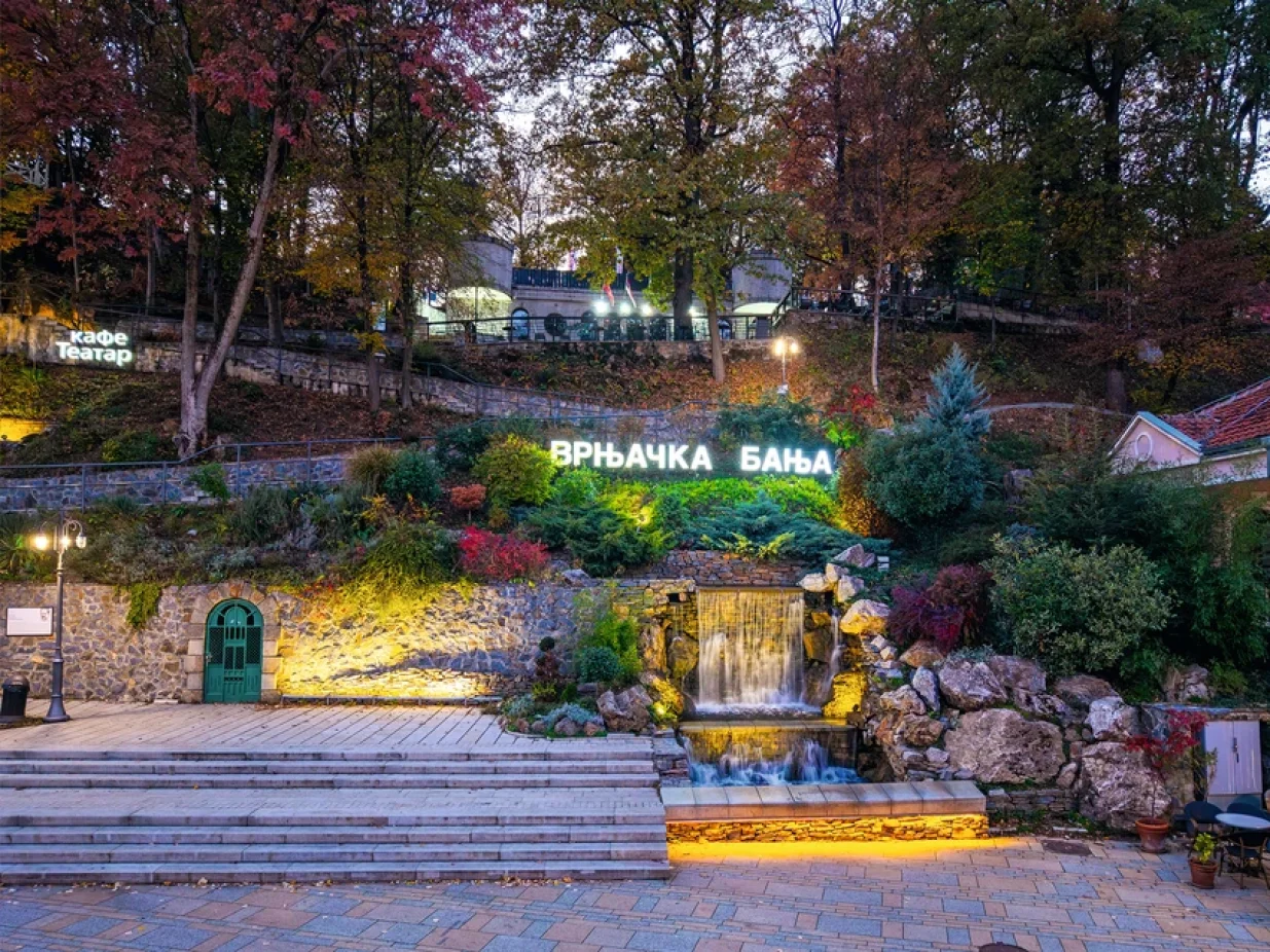 Savo Tufegdžić/Promo