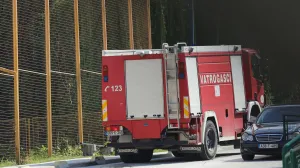 Vatrogasci ilustracija/Senad Gubelić