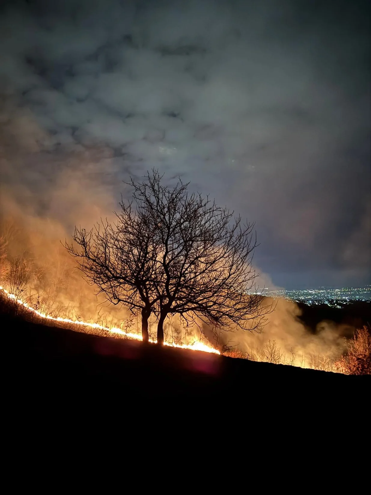 Požar, Žuč, vatrogasci, 11. mart 2026./Vatrogasno Dru&scaron;tvo Alipa&scaron;in Most