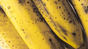 Ljudi ih često bacaju/Free Pik