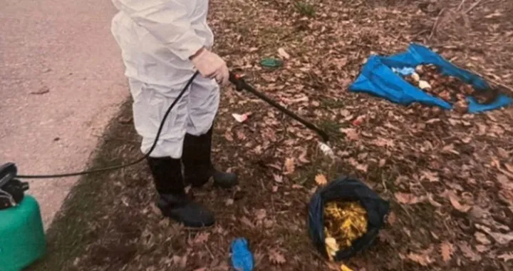 Jezivi prizori/Facebook//