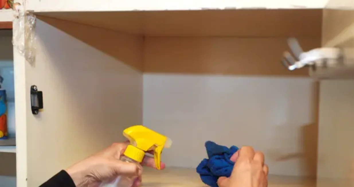 Ormar, daska, či&scaron;ćenje, prljav&scaron;tina, bakterije, ilustracija/Victorass88@gmail.com