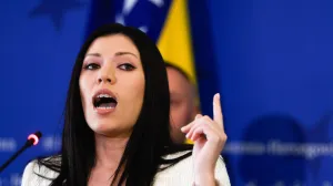 Vulić izjava hitna sjednica jena Konakovića/Damir Deljo