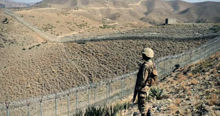 Ilustracija/ Screenshot/ X/