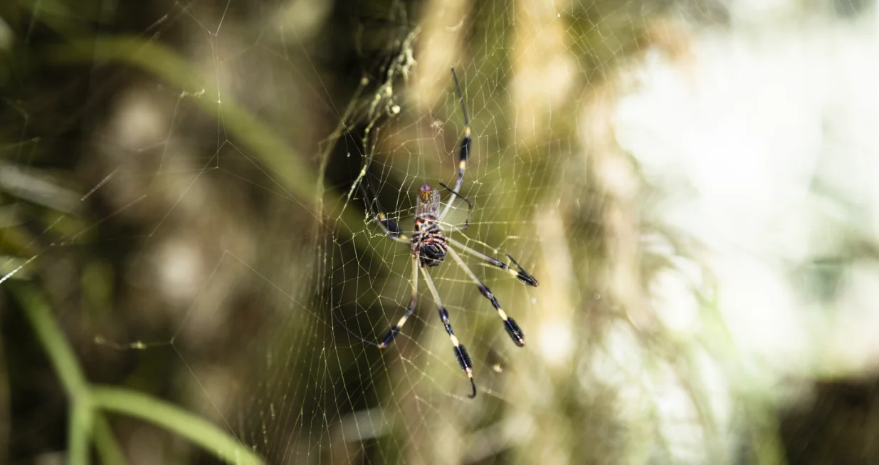 Vi&scaron;e neće smijeti kročiti u va&scaron; dom/Free Pik