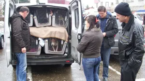 Foto: Milan Pilipović/ Nezavisne/