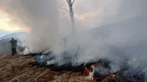 Požar, nisko rastinje, Trnovo, vatrogasci/Tvsa