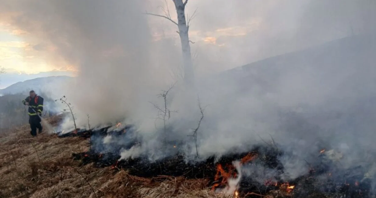 Požar, nisko rastinje, Trnovo, vatrogasci/Tvsa