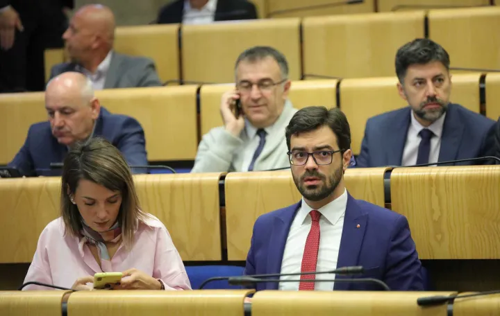 Predstavnički dom paralamenta FBiH/Senad Gubelić