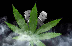 Kolumna Bo&scaron;ka Jak&scaron;ića: Trumpove i Netanyahuove grudve ha&scaron;i&scaron;a/Ilustracija/Benjamin Krnić